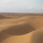 Desert Retreat Camp